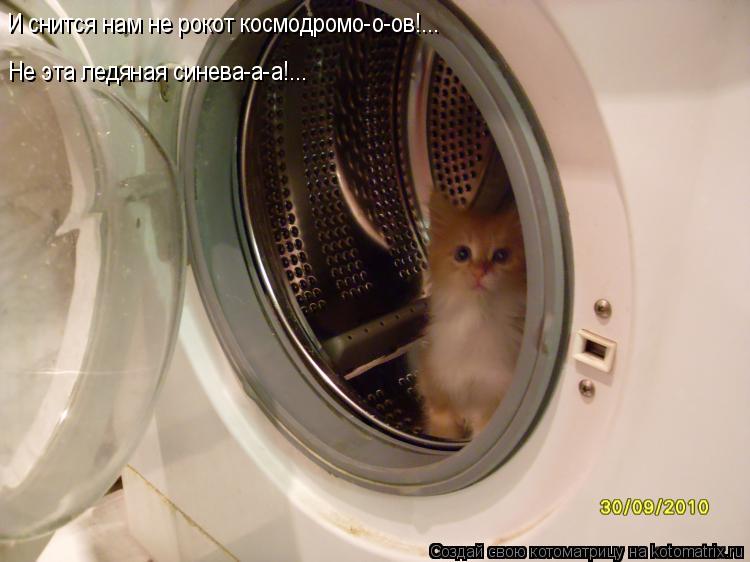 Котоматрица: И снится нам не рокот космодромо-о-ов!... Не эта ледяная синева-а-а!...