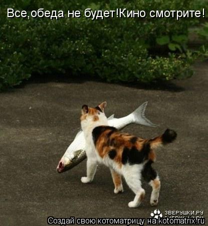 Котоматрица: Все,обеда не будет!Кино смотрите!