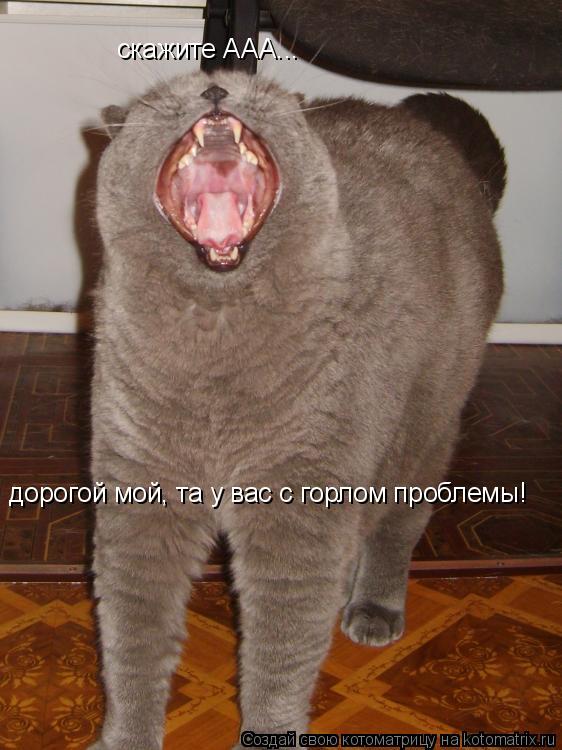 Котоматрица: скажите ААА... дорогой мой, та у вас с горлом проблемы!