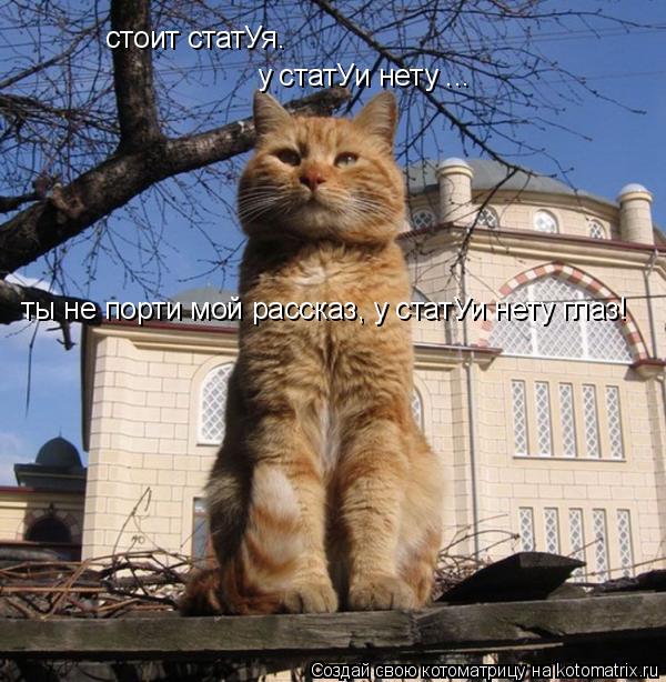 Котоматрица: стоит статУя. у статУи нету ... ты не порти мой рассказ, у статУи нету глаз!