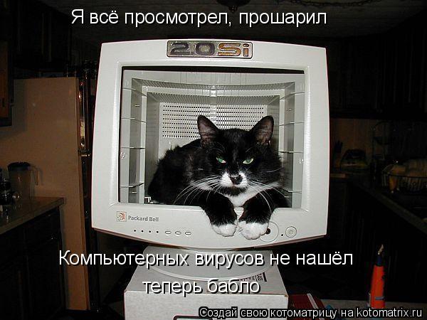 Котоматрица: Я всё просмотрел, прошарил Компьютерных вирусов не нашёл теперь бабло