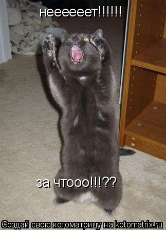 Котоматрица: неееееет!!!!!! за чтооо!!!??