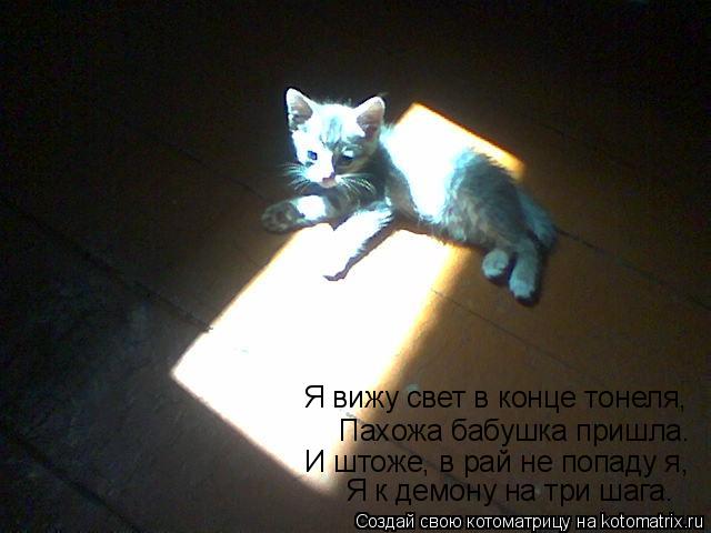Котоматрица: Пахожа бабушка пришла. И штоже, в рай не попаду я, Я вижу свет в конце тонеля, Я к демону на три шага.