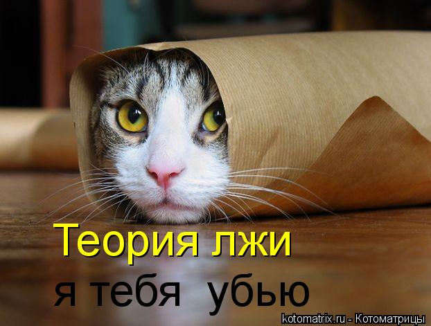 Котоматрица: я тебя  убью Теория лжи