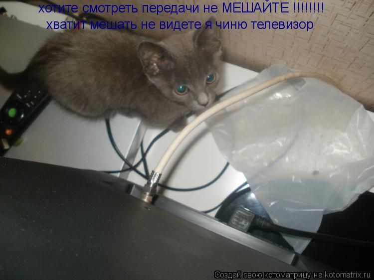 Котоматрица: хватит мешать не видете я чиню телевизор хотите смотреть передачи не МЕШАЙТЕ !!!!!!!!