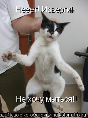 Котоматрица: Нееет! Изверги! Не хочу мыться!!