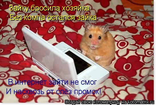 Котоматрица: Зайку бросила хозяйка Без компа остался зайка В интернет зайти не смог И насквозь от слёз промок!