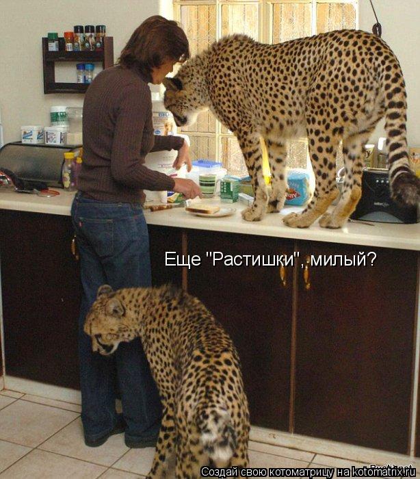 Котоматрица: Еще "Растишки", милый?