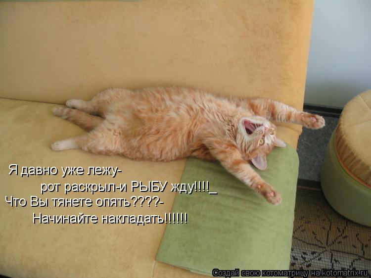 Котоматрица: Я давно уже лежу- рот раскрыл-и РЫБУ жду!!!!_ Что Вы тянете опять????- Начинайте накладать!!!!!!