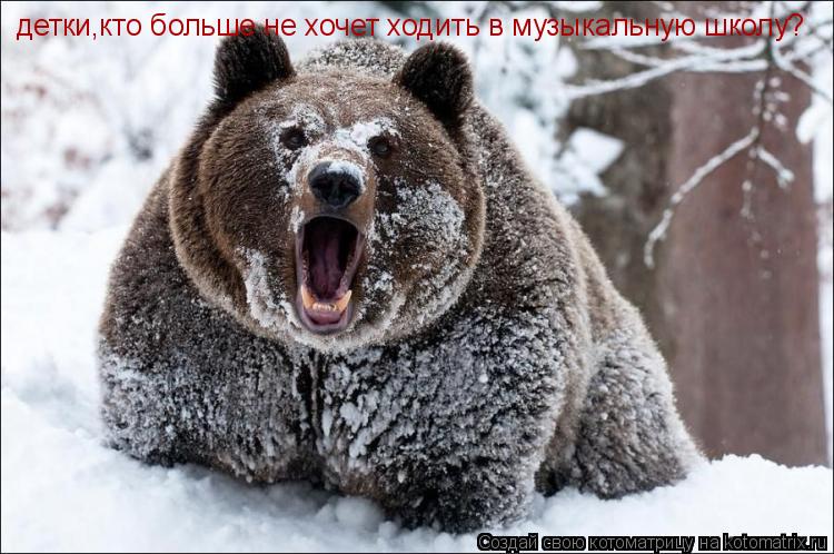 Котоматрица: детки,кто больше не хочет ходить в музыкальную школу?
