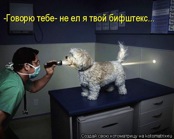 Котоматрица: -Говорю тебе- не ел я твой бифштекс...