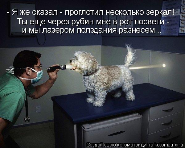 Котоматрица: - Я же сказал - проглотил несколько зеркал! Ты еще через рубин мне в рот посвети -  и мы лазером полздания разнесем...