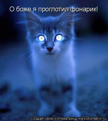 Котоматрица: О боже я проглотил фонарик!
