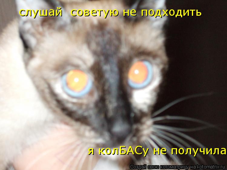 Котоматрица: слушай  советую не подходить   я колБАСу не получила !