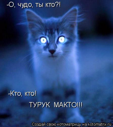 Котоматрица: -О, чудо, ты кто?! -Кто, кто! ТУРУК  МАКТО!!!