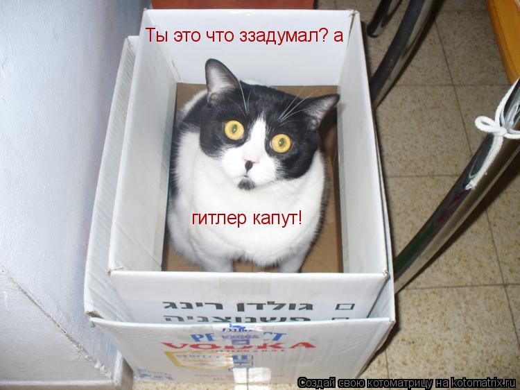 Котоматрица: Ты это что ззадумал? а гитлер капут!