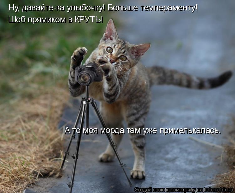 Котоматрица: Ну, давайте-ка улыбочку! Больше темпераменту!   Шоб прямиком в КРУТЬ!  А то моя морда там уже примелькалась.