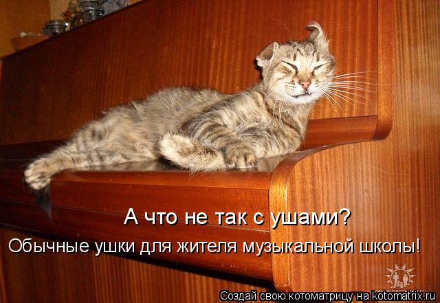 Котоматрица: А что не так с ушами? Обычные ушки для жителя музыкальной школы!