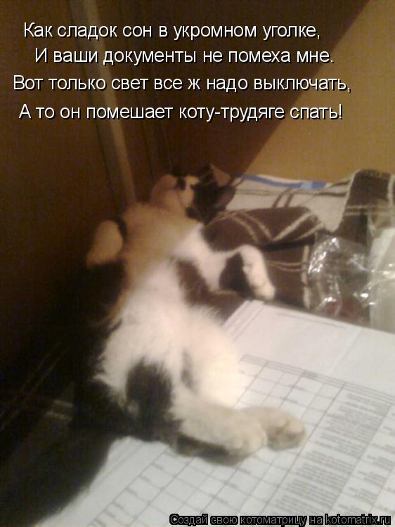 Котоматрица: Как сладок сон в укромном уголке, И ваши документы не помеха мне. Вот только свет все ж надо выключать, А то он помешает коту-трудяге спать!