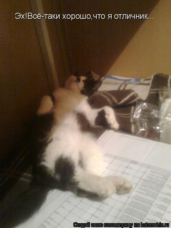 Котоматрица: Эх!Всё-таки хорошо,что я отличник...