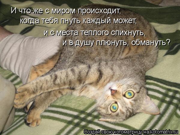 Котоматрица: И что же с миром происходит, когда тебя пнуть каждый может, и с места теплого спихнуть, и в душу плюнуть, обмануть?