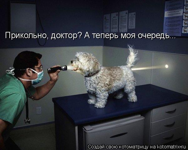 Котоматрица: Прикольно, доктор? А теперь моя очередь...