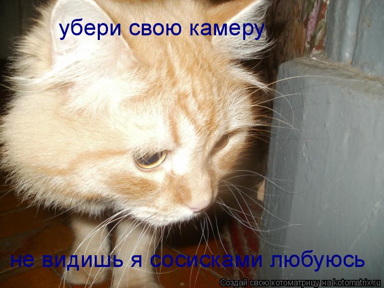 Котоматрица: убери свою камеру не видишь я сосисками любуюсь