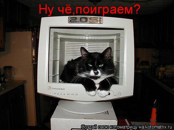 Котоматрица: Ну чё,поиграем?