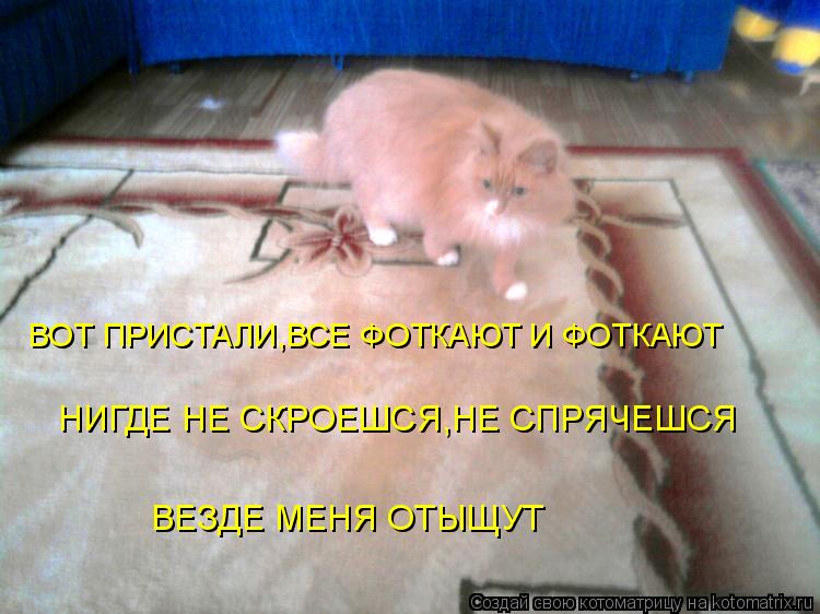 Котоматрица: ВОТ ПРИСТАЛИ,ВСЕ ФОТКАЮТ И ФОТКАЮТ НИГДЕ НЕ СКРОЕШСЯ,НЕ СПРЯЧЕШСЯ ВЕЗДЕ МЕНЯ ОТЫЩУТ