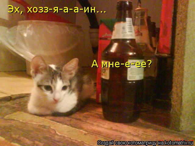 Котоматрица: Эх, хозз-я-а-а-ин...  А мне-е-ее?