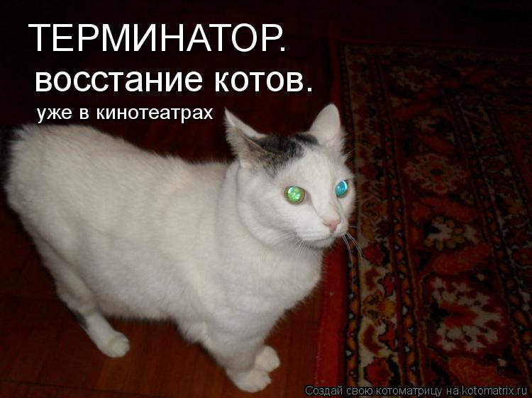 Котоматрица: ТЕРМИНАТОР. восстание котов. уже в кинотеатрах