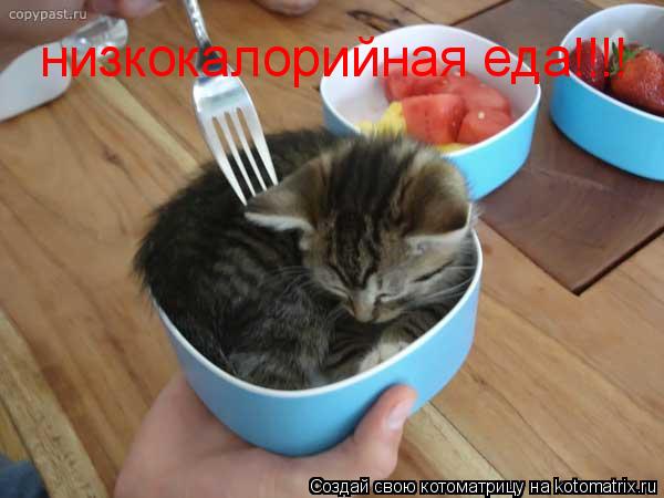 Котоматрица: низкокалорийная еда!!!!
