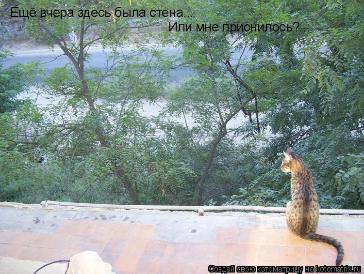 Котоматрица: Ещё вчера здесь была стена... Или мне приснилось?...