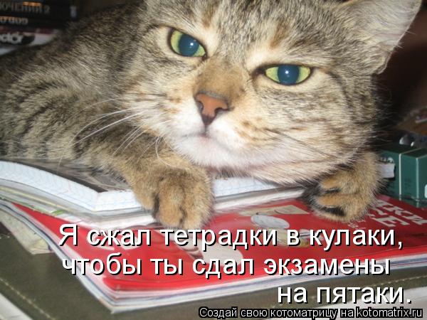 Котоматрица: Я сжал тетрадки в кулаки, чтобы ты сдал экзамены  на пятаки.
