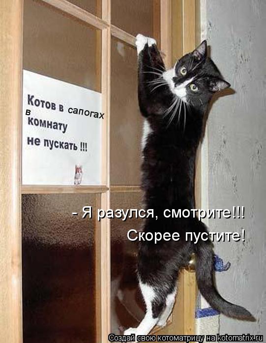 Котоматрица: сапогах в - Я разулся, смотрите!!! Скорее пустите!