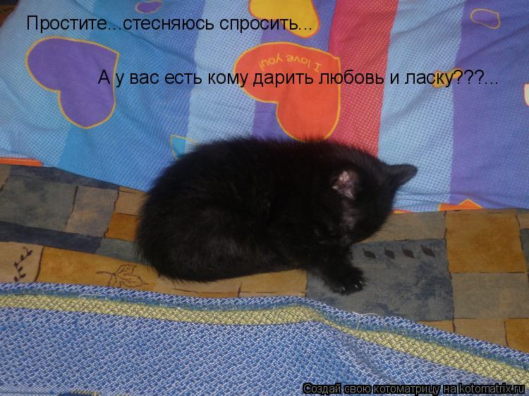 Котоматрица: Простите...стесняюсь спросить... А у вас есть кому дарить любовь и ласку???...