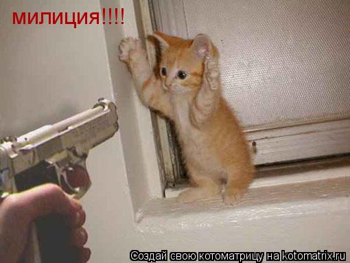 Котоматрица: милиция!!!!