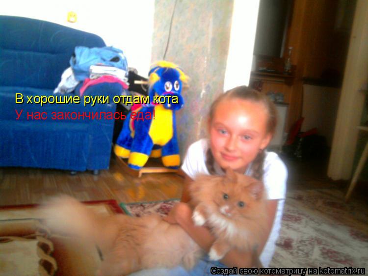 Котоматрица: В хорошие руки отдам кота У нас закончилась еда!
