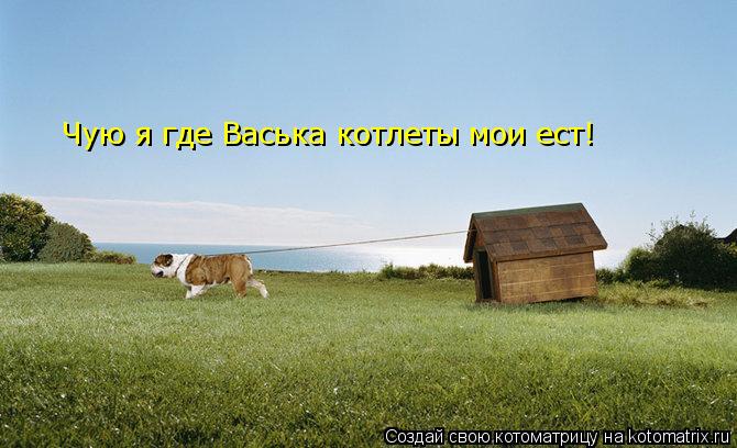 Котоматрица: Чую я где Васька котлеты мои ест!