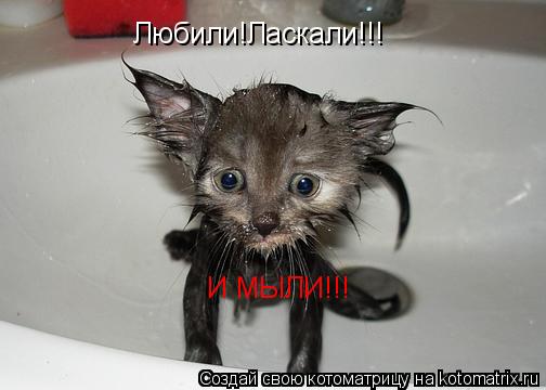 Котоматрица: Любили!Ласкали!!! И МЫЛИ!!!