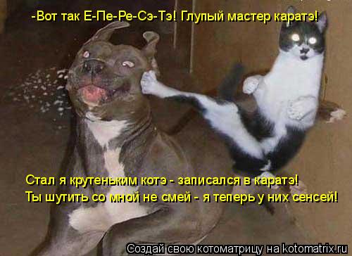 Котоматрица: Стал я крутеньким котэ - записался в каратэ! Ты шутить со мной не смей - я теперь у них сенсей! -Вот так Е-Пе-Ре-Сэ-Тэ! Глупый мастер каратэ!