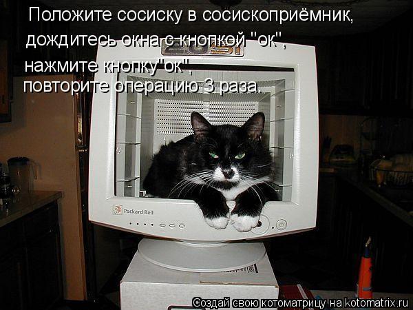 Котоматрица: Положите сосиску в сосископриёмник, дождитесь окна с кнопкой "ок", нажмите кнопку"ок", повторите операцию 3 раза.