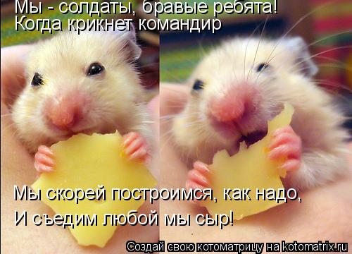 Мы - солдаты, бравые ребята! Когда крикнет командир Мы скорей построимся, как надо, И съедим любой мы... Котоматрица: Мы - солдаты, бравые ребята! Когда крикнет командир Мы скорей построимся, как надо, И съедим любой мы сыр!