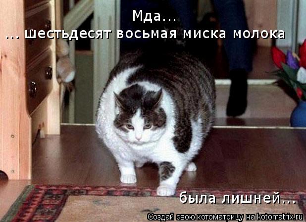 ... шестьдесят восьмая миска молока Мда... была лишней...... Котоматрица: ... шестьдесят восьмая миска молока Мда... была лишней...