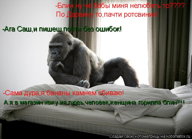 -Блин ну чё бабы миня нелюбять то???? По Дарвину то,пачти ротсвиник! -Ага Саш,и пишеш почти без ошибо... Котоматрица: -Блин ну чё бабы миня нелюбять то???? По Дарвину то,пачти ротсвиник! -Ага Саш,и пишеш почти без ошибок! -Сама дура,я бананы камнем сбиваю! А я в м