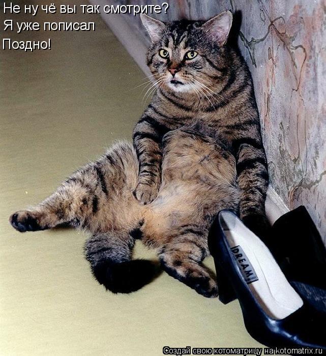 Не ну чё вы так смотрите? Я уже пописал Поздно!... Котоматрица: Не ну чё вы так смотрите? Я уже пописал Поздно!