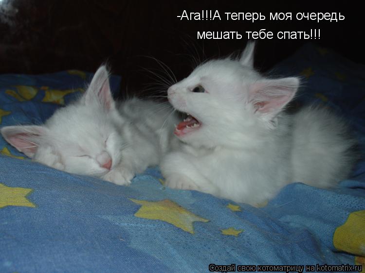 Котоматрица: -Ага!!!А теперь моя очередь  мешать тебе спать!!!