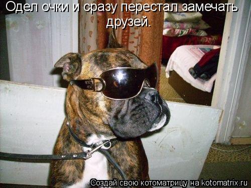 Котоматрица: Одел очки и сразу перестал замечать  друзей.