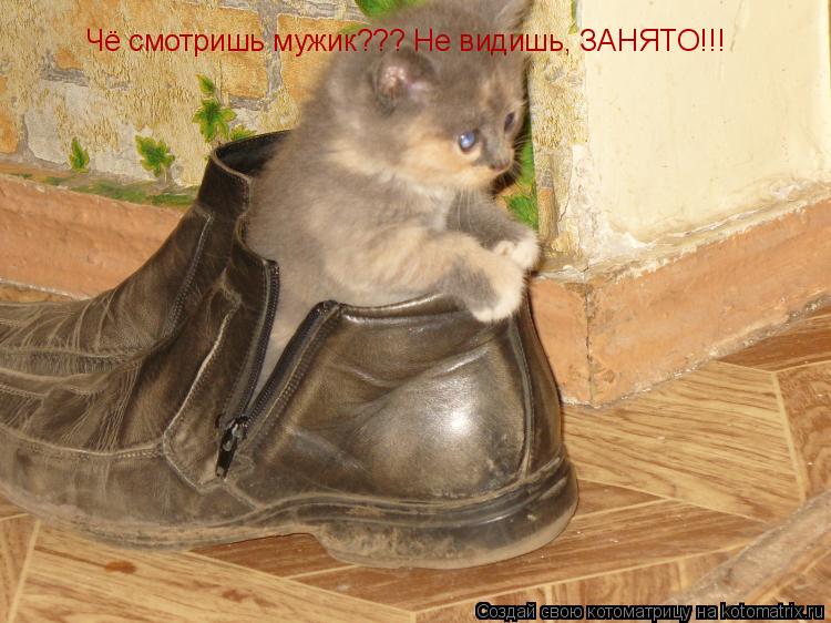 Котоматрица: Чё смотришь мужик??? Не видишь, ЗАНЯТО!!!