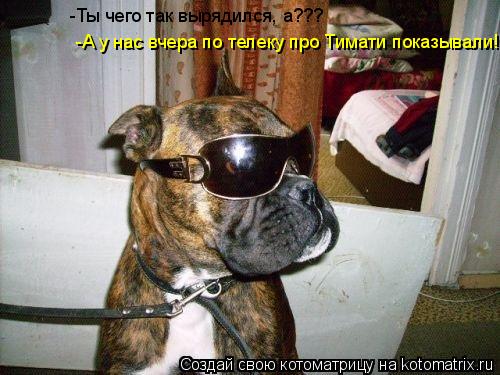 Котоматрица: -Ты чего так вырядился, а??? -А у нас вчера по телеку про Тимати показывали!